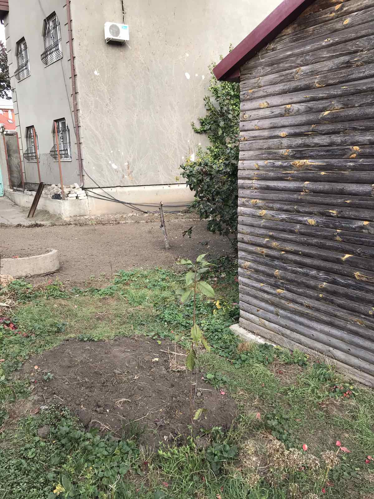 Участок на Костанди