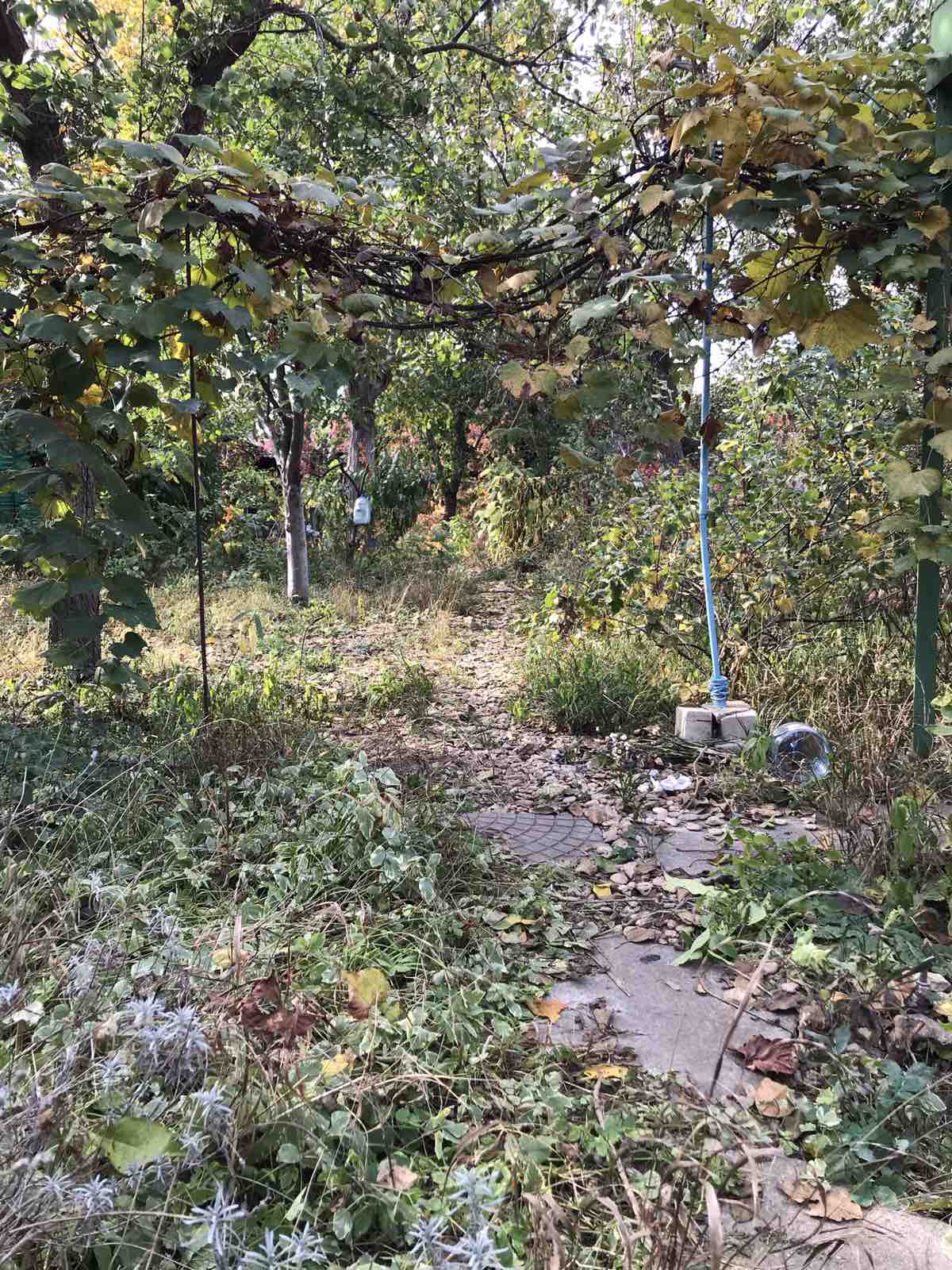 Участок на Костанди